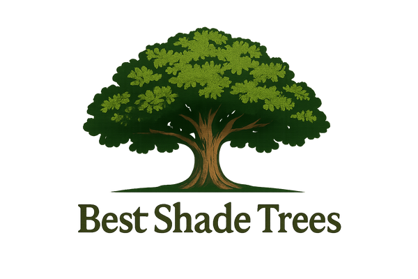 a logo of a tree with the name of the company under its shade. the name of the company is Best Shade Trees